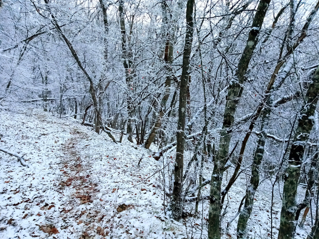 Зима на Кабаньем перевале.
